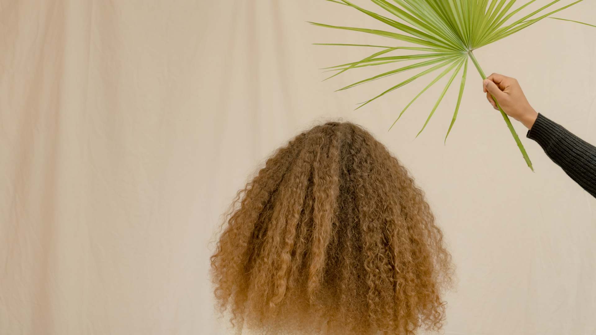 Routine pour cheveux bouclés