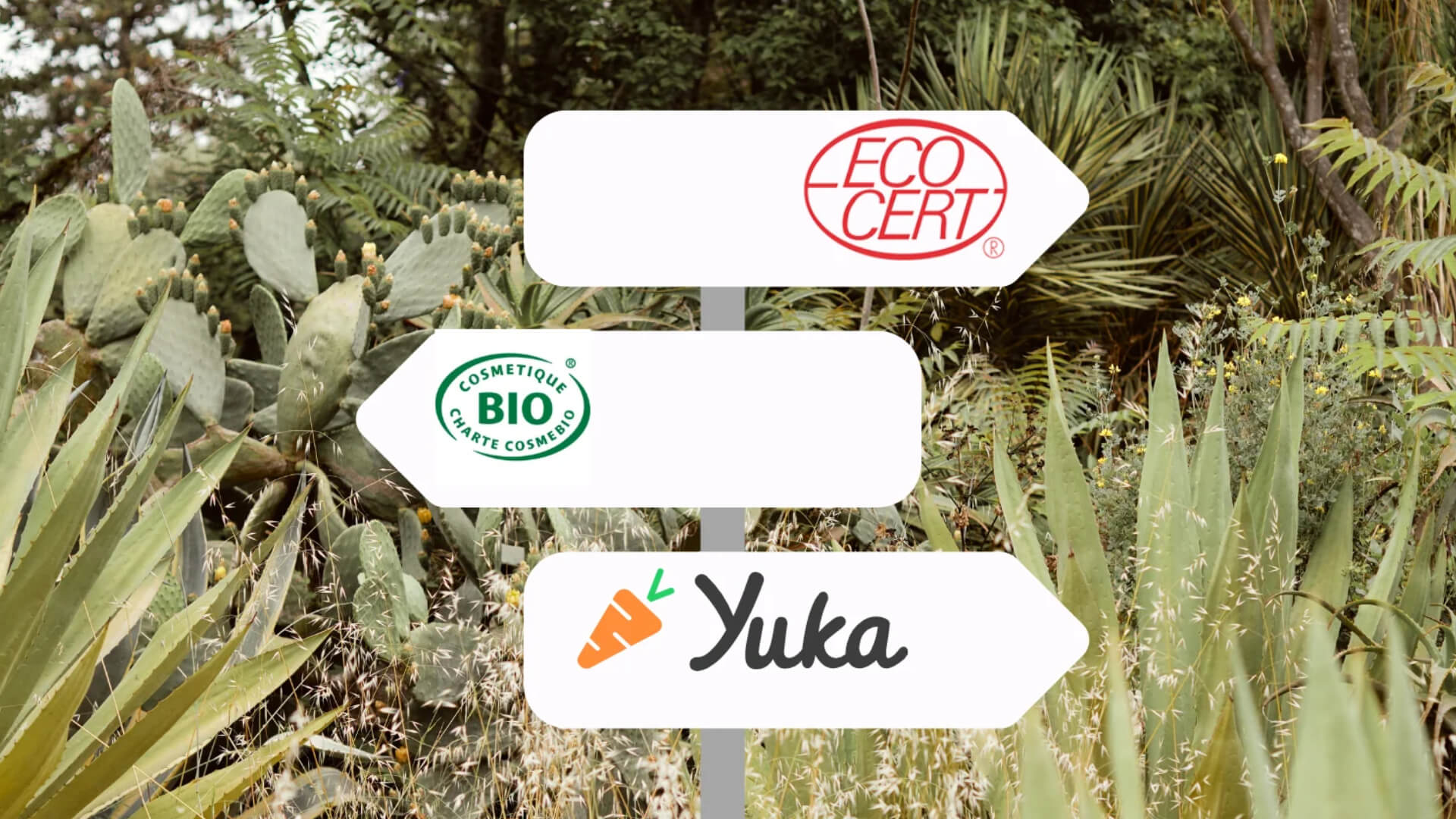 Connaissez-vous la différence entre la cosmétique naturelle et biologique ? Foto