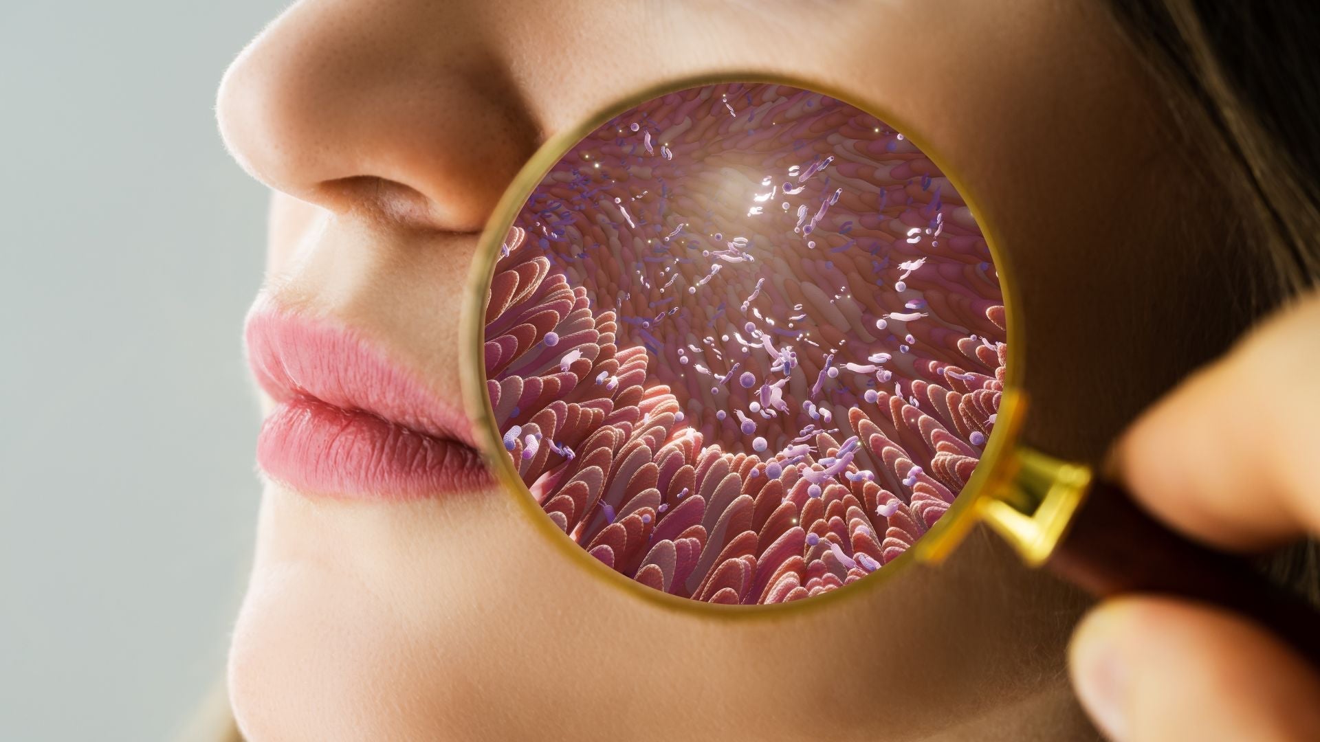 Le microbiome, qu'est-ce que c'est ? Doit-on en prendre soin ?