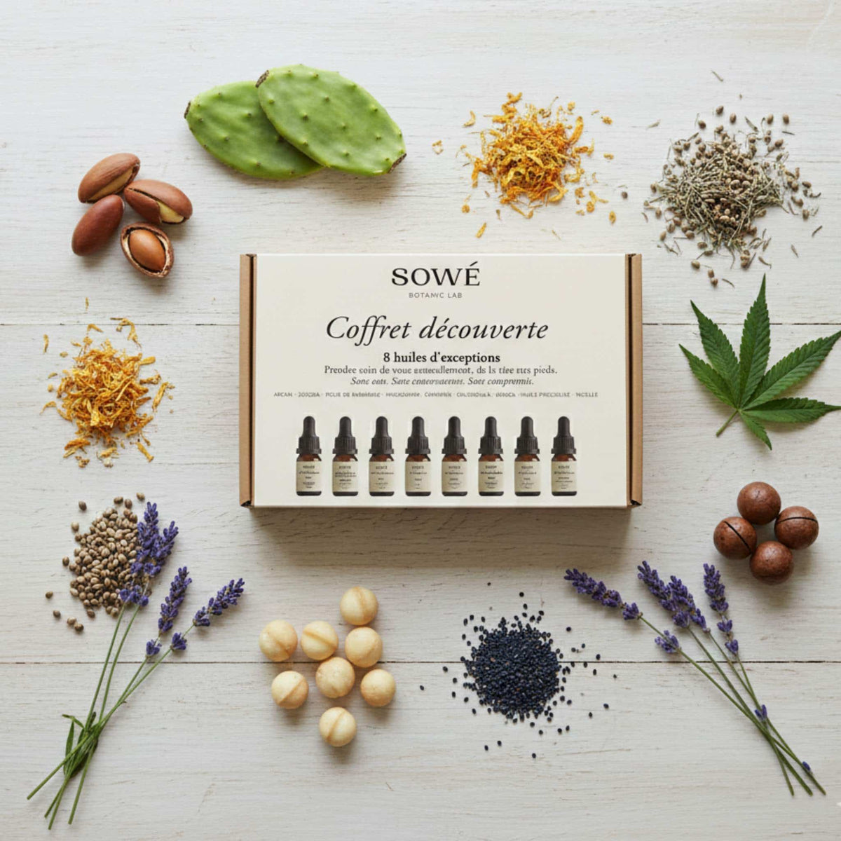 Coffret Découverte - Assortiment d'huiles végétales