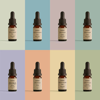 Discovery gift kit - Selection of fine plant oils