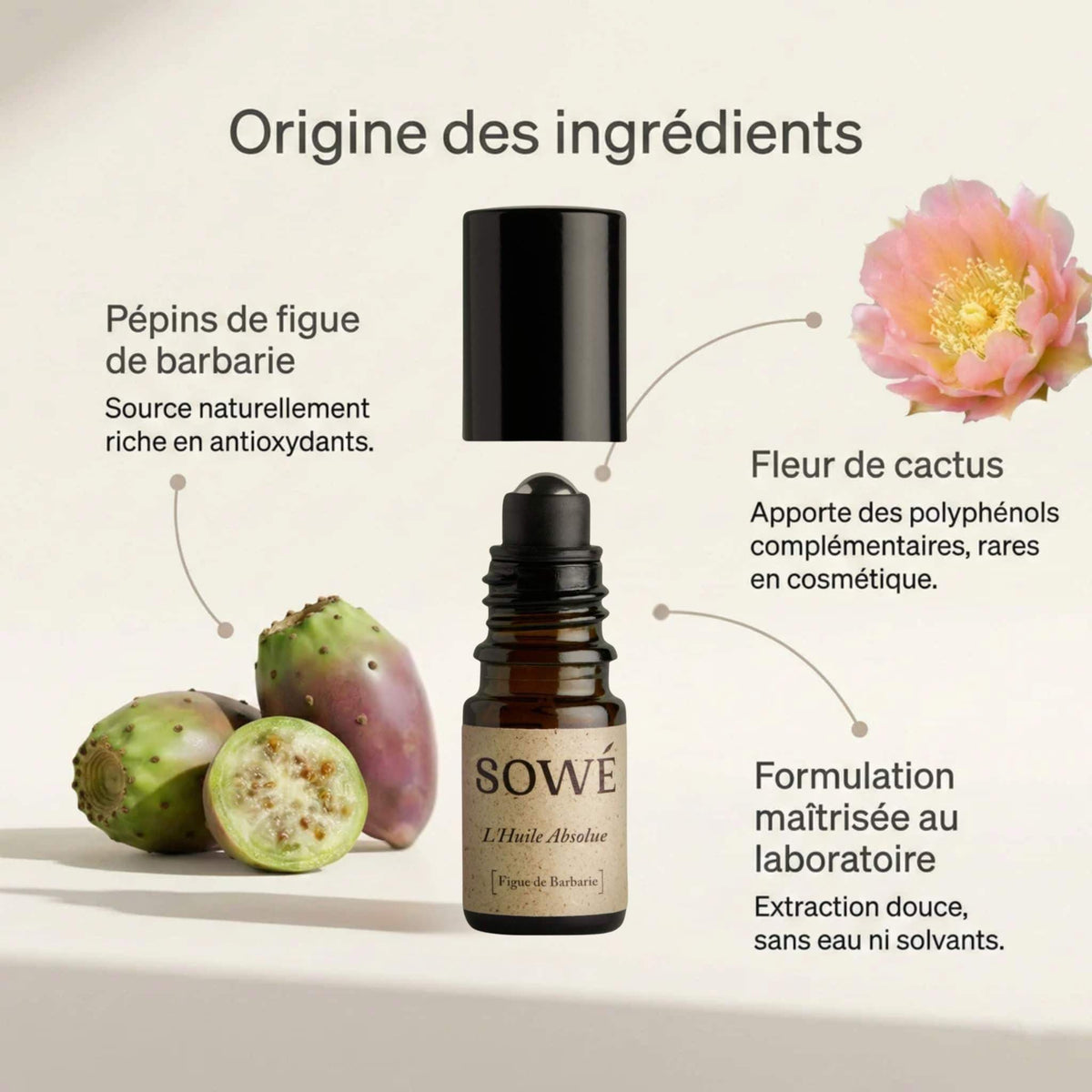 Eye Contour - Absolute Oil of Prickly Pear Seed