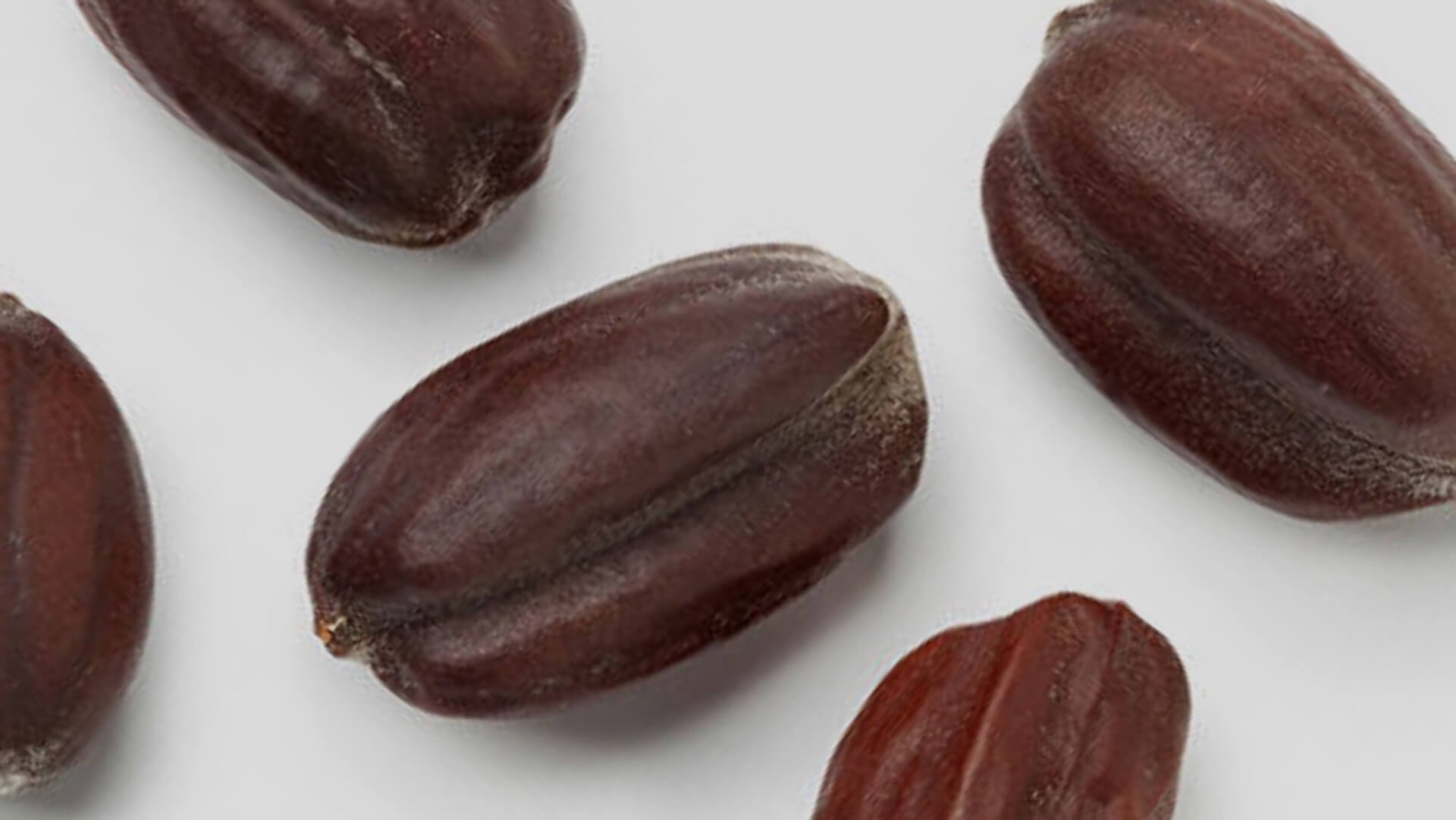 Aceite de semilhas de jojoba, suavizante, orgánico  Imagen