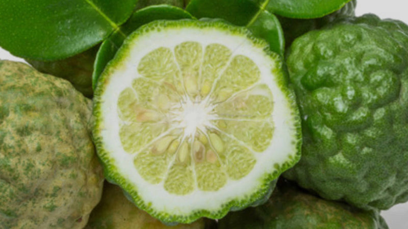 Bergamote, bio, óleo essencial 