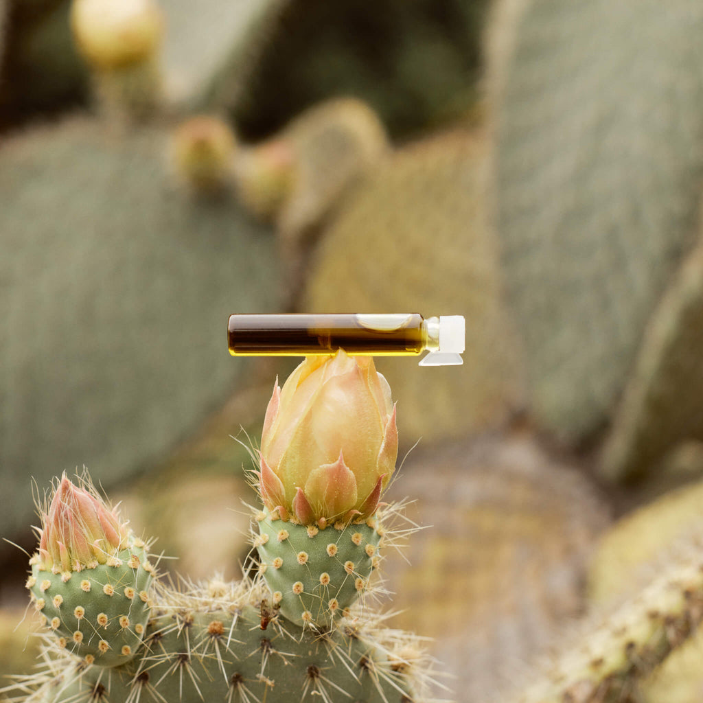 Parfum au bois de rose et à la sauge sclarée