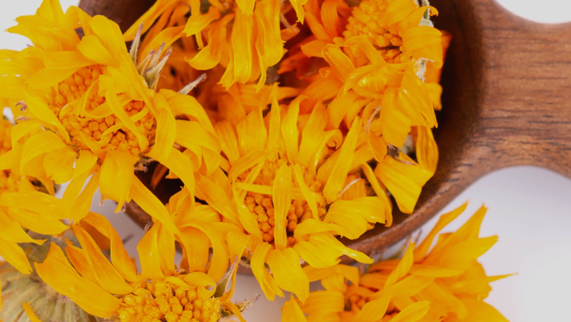 Calendula bio huile calmante Image