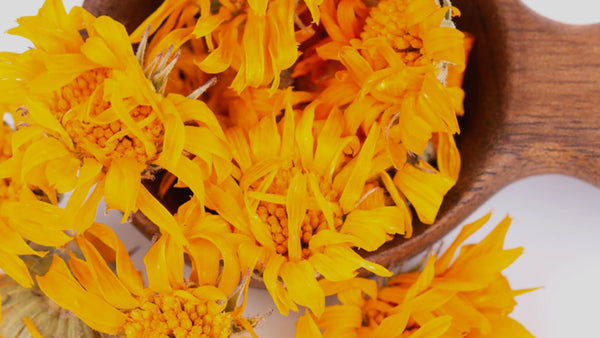 Calendula bio huile calmante