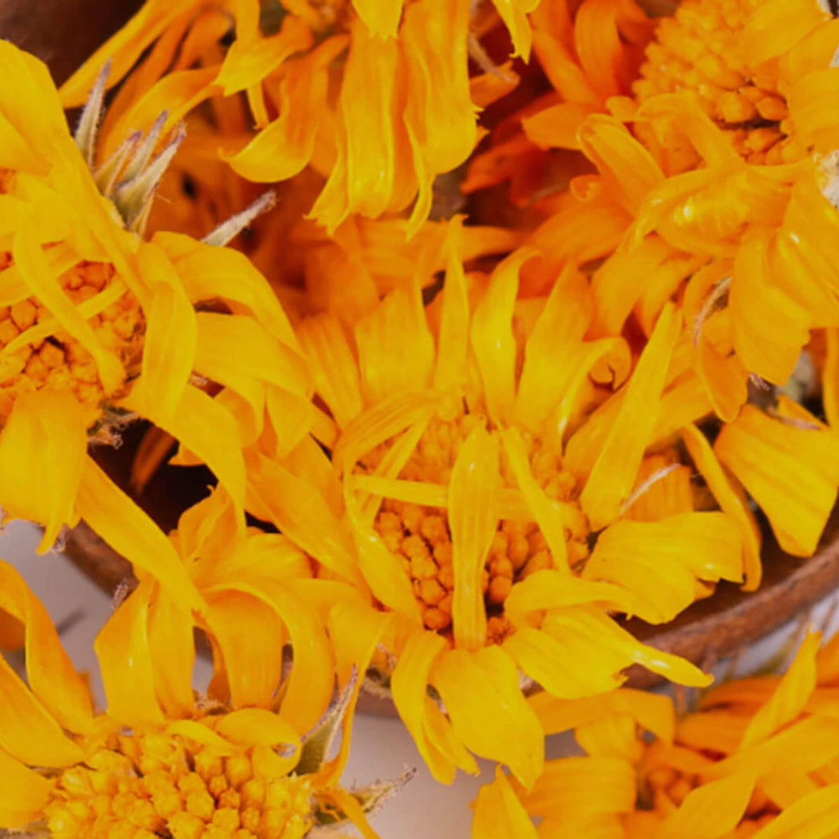 Huile de calendula pour le visage et le corps, idéale pour les peaux sèches, irritées, sensibles ou abîmées