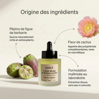 L'huile absolue ingrédients