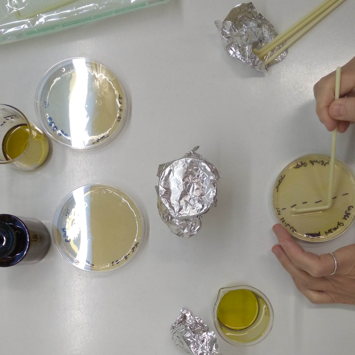 Óleo CBD natural bio prensado a frio