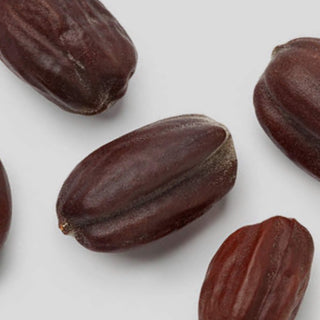 huile jojoba, ingredient, regule, nourrit, apaise, calme 
