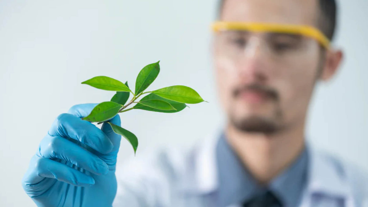 Laboratório cosmético inovação investigação formulação a frio