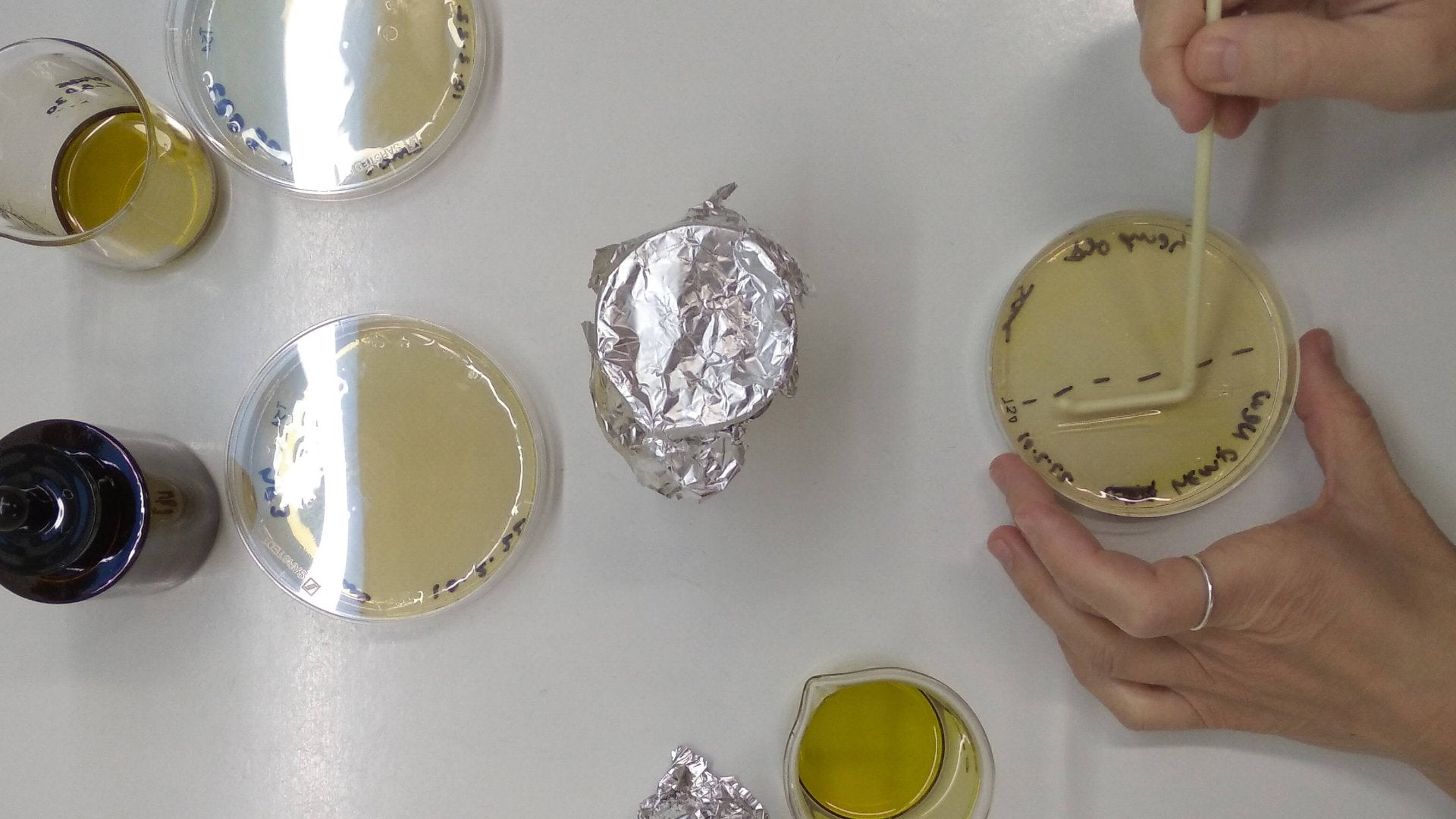laboratoire cosmétique lab CBD vegetal  Imagen