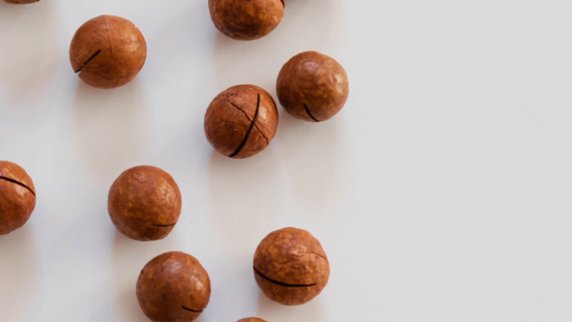 Macadamia, huile vierge bio, cicatrisant Image