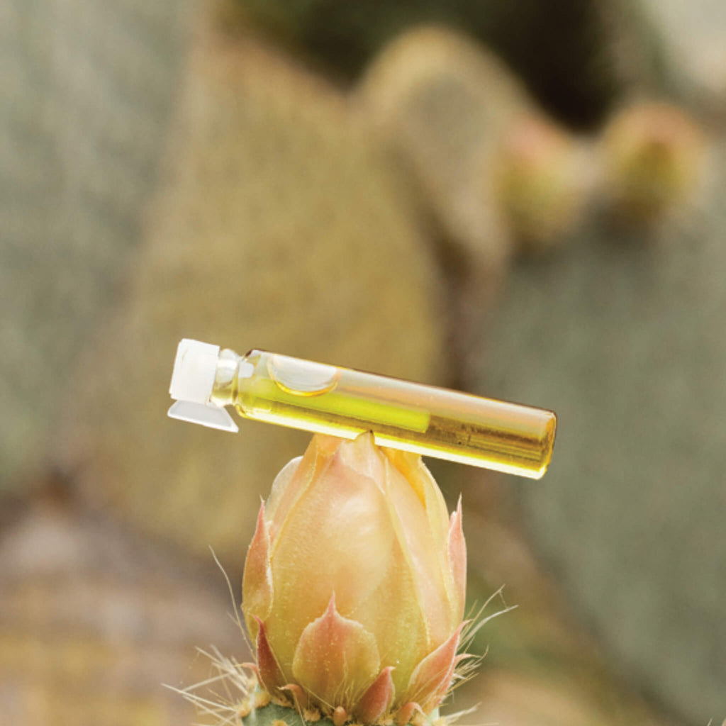 Parfum de néroli aux propriétés antibactériennes et régénérantes 