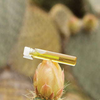 Parfum de néroli aux propriétés antibactériennes et régénérantes 