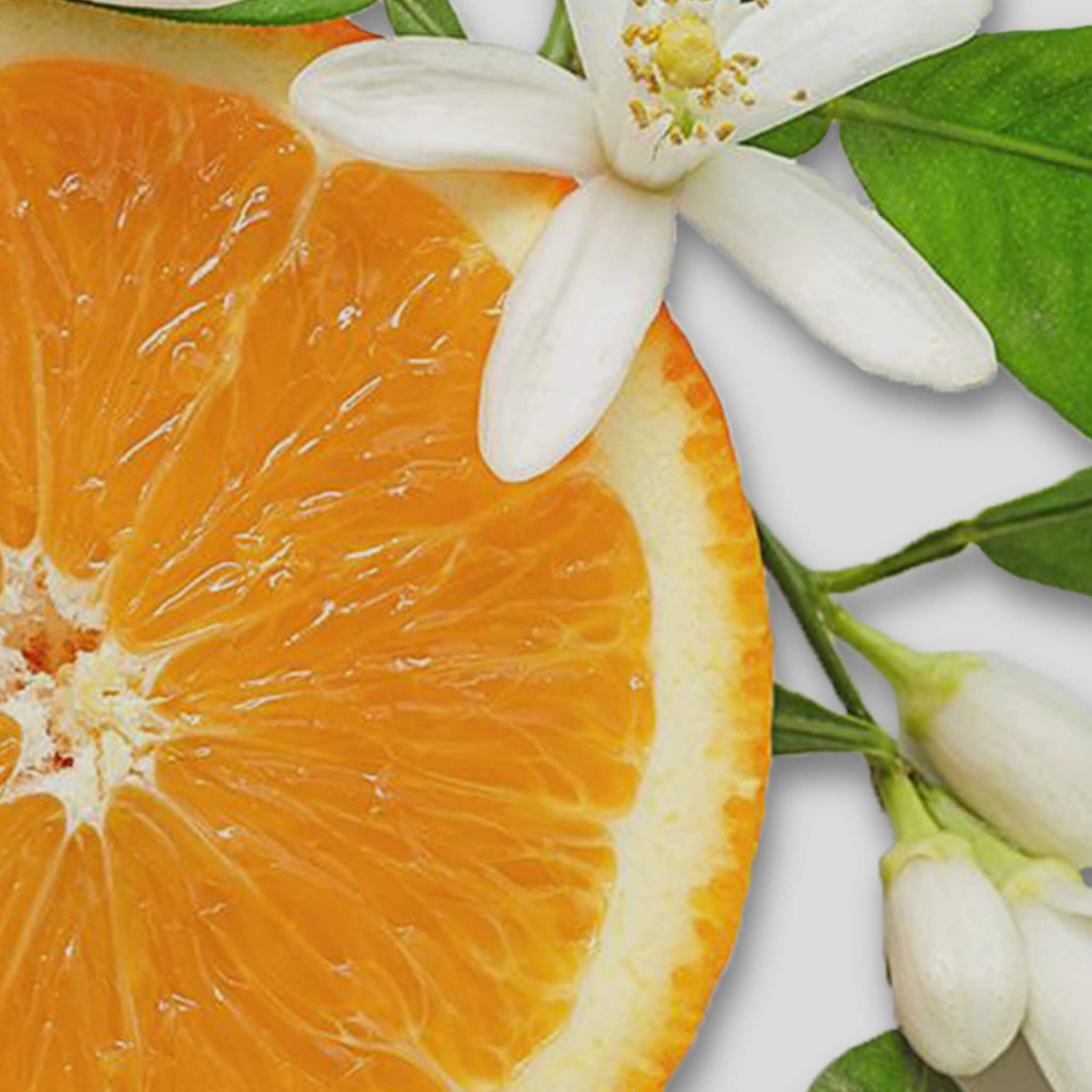 Óleo de flor de laranjeira, óleo essencial para o rosto