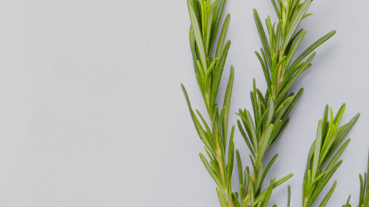 Rosemary essential oil, soothing, calming 